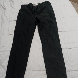 Active USA Skinny Leg Dress Pants